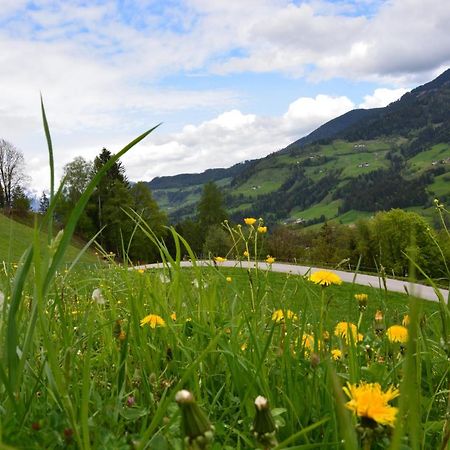 Niederstallnhof Sankt Johann im Pongau Esterno foto