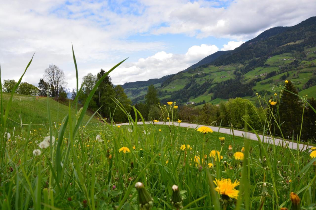 Niederstallnhof Sankt Johann im Pongau Esterno foto
