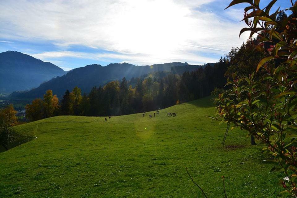 Niederstallnhof Sankt Johann im Pongau Esterno foto